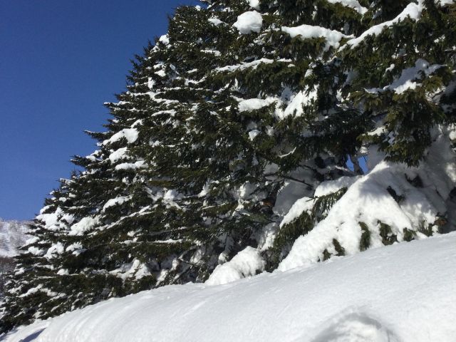 ルスツの雪と空