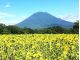 羊蹄山 イメージ