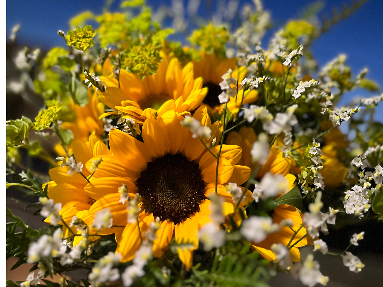 Ђ܂̃u[Pc ʐ^̓C[WłBԂ̓eԊȂǁAύXɂȂꍇ܂B2ȏł̂\́Aeł肢v܂B