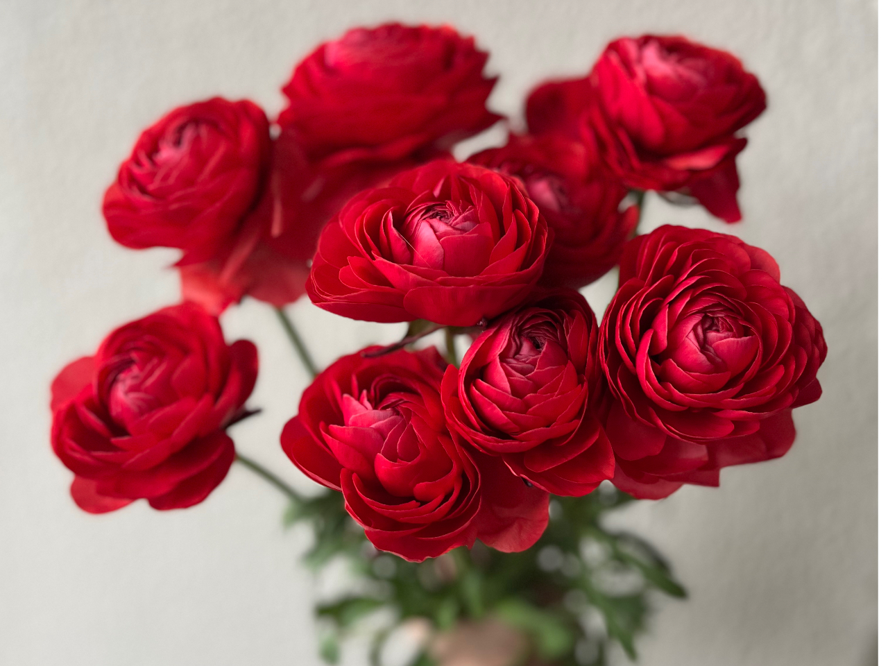 ʐ^̓C[WłBԂ̓eԊȂǁAύXɂȂꍇ܂B2ȏł̂\́Aeł肢v܂B