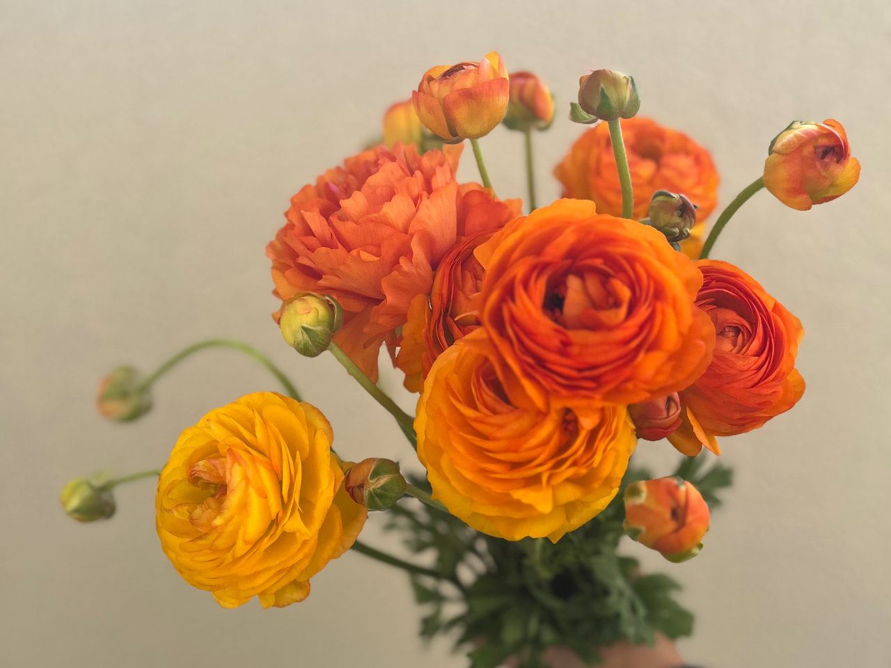 ʐ^̓C[WłBԂ̓eԊȂǁAύXɂȂꍇ܂B2ȏł̂\́Aeł肢v܂B