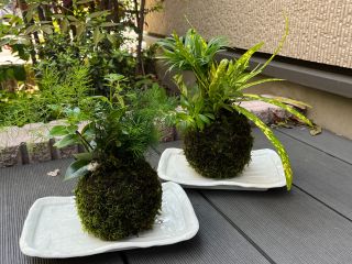 写真はイメージです