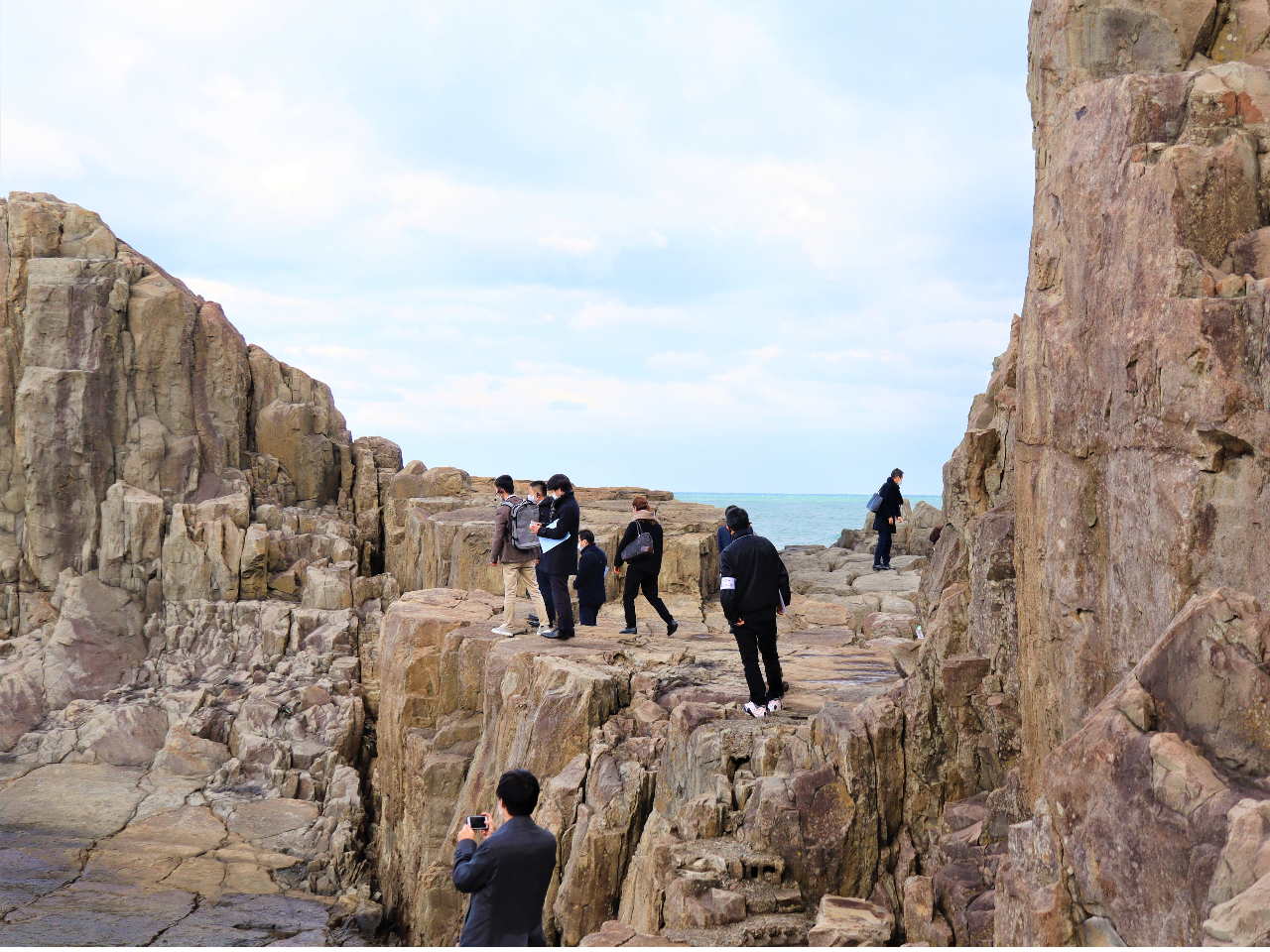 ���q�V�͂ǂ�����Ăł����̂��A�Ȃ��s���R�ɕ���ȏꏊ�����݂���̂��c���n�ł��̓���������������I