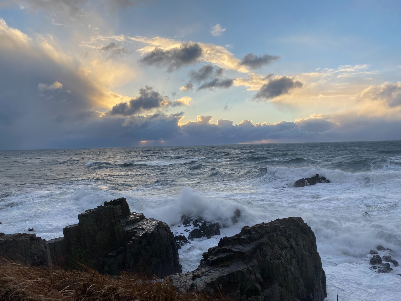 ���q�V�͋G�߂�V��ɂ���ĈقȂ��������܂��B���̓����̎������̓��q�V�����Ȃ������̓��ʂȗ��ɂ��Ă���܂��B