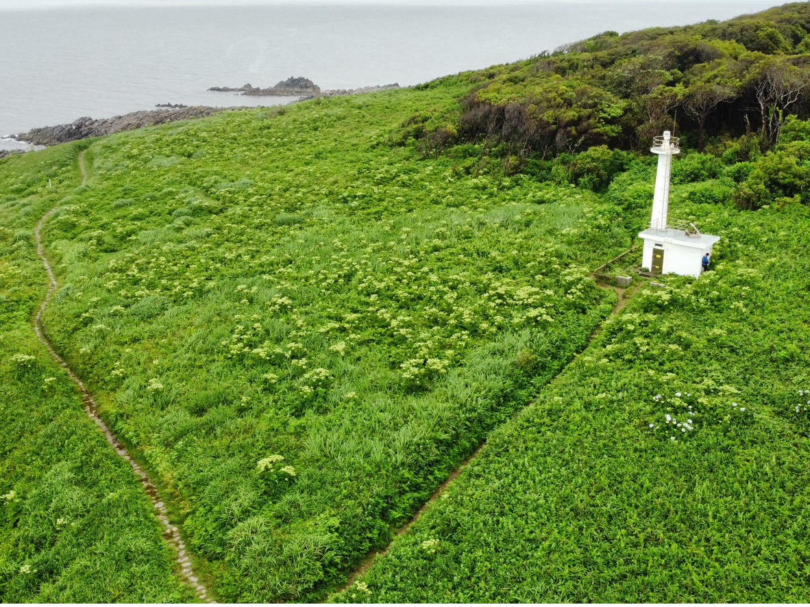 雄島灯台散策ツアー／カップル・夫婦・ソロ旅に人気♪／60分の魅力満載ガイド♪