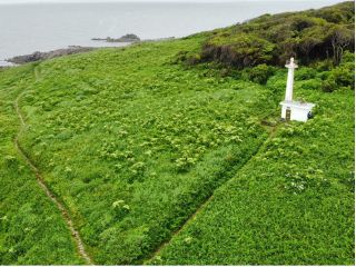 雄島灯台散策ツアー