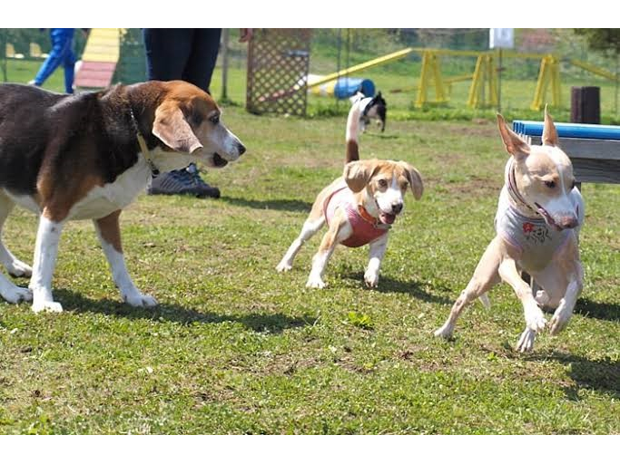 【貸切】*:._広いスペースを使って、オフ会やイベントを!壮大な山々に囲まれ、季...