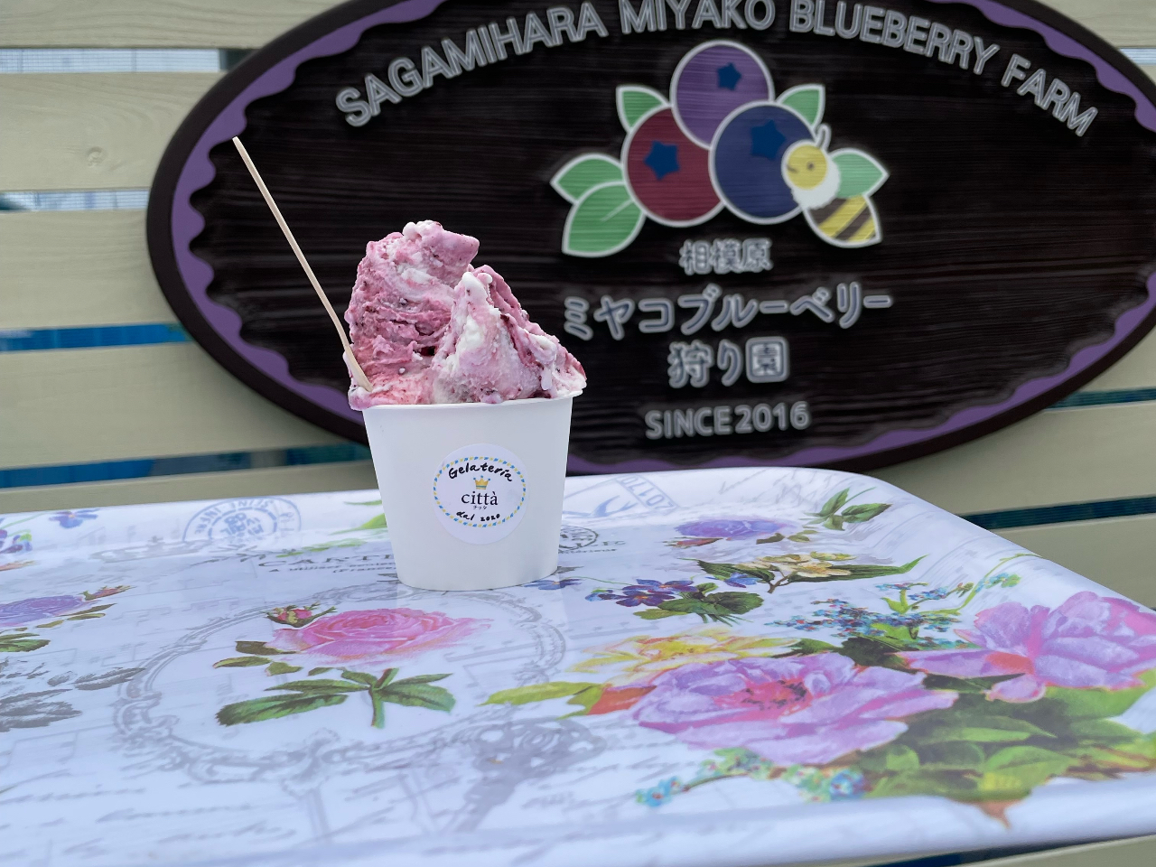 ���ʂ̃A�C�X�Ƃ͊��炩�����Ⴂ�܂��I�C�^���A���A�������W�F���[�g�}�V�[���Ɣ_���Y�u���[�x���[���ӂ񂾂�Ɏg��������{�i�W�F���[�g�ł�����I