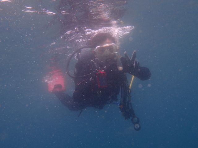 水面で泳ぎの練習も
