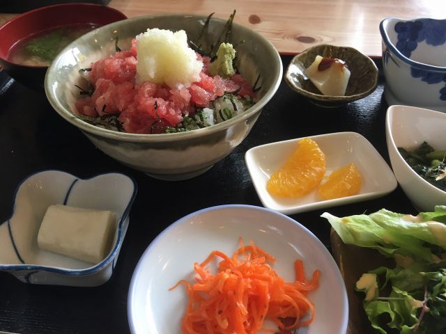 ネギトロ丼