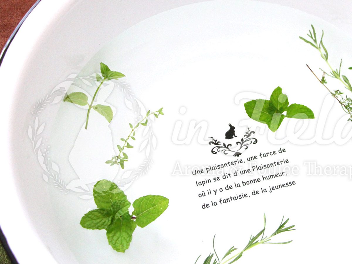 炭酸ガス発生 アロマバスソルト エプソムソルト 50g 心身のお悩みに応じたアロマクラフトを作ってみませんか アロマ 足圧ボディケア インフィールド じゃらん遊び体験