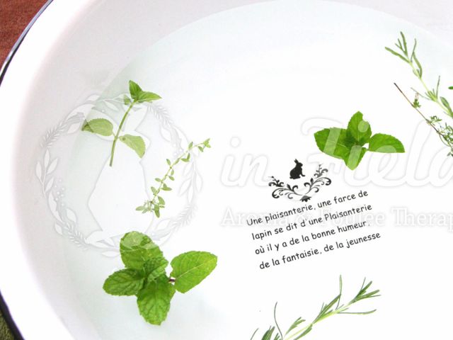 炭酸ガス発生 アロマバスソルト エプソムソルト 50g 心身のお悩みに応じたアロマクラフトを作ってみませんか アロマ 足圧ボディケア インフィールド じゃらん遊び体験 炭酸ガス発生 アロマバスソルト エプソムソルト 50g 心身のお悩みに応じたアロマクラフトを作ってみませんか アロマ 足圧ボディケア インフィールド じゃらん遊び体験