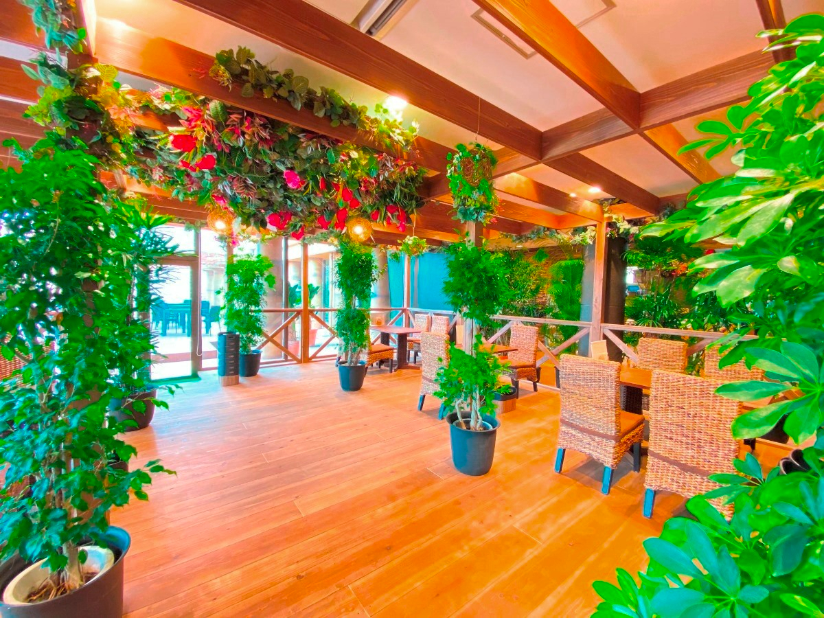 WO̒ɖ񂾂̂悤 JtFusunaba terracev