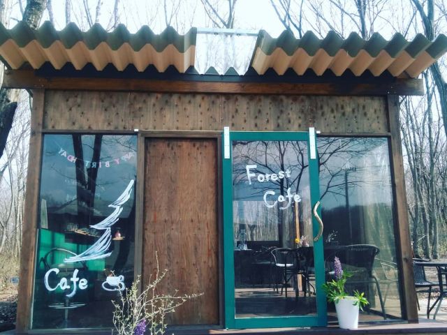 23年 手ぶらbbqランチ テント付き ゆったり6時間の贅沢グランピング 彡食事後はハンモックでくつろいで ファミリー カップルにおすすめ 那須キャンプ フォレストカフェ那須 じゃらん遊び体験 23年 手ぶらbbqランチ テント付き ゆったり6時間の贅沢グランピング 彡食事後はハンモックでくつろいで ファミリー カップルにおすすめ 那須キャンプ フォレストカフェ那須 じゃらん遊び体験