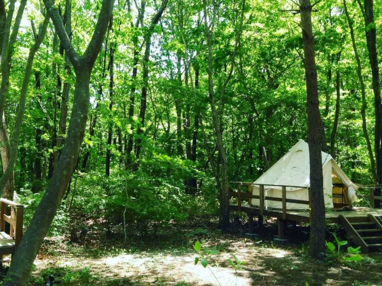 �΂̃V�����[�Ɉ͂܂�āE�E�E