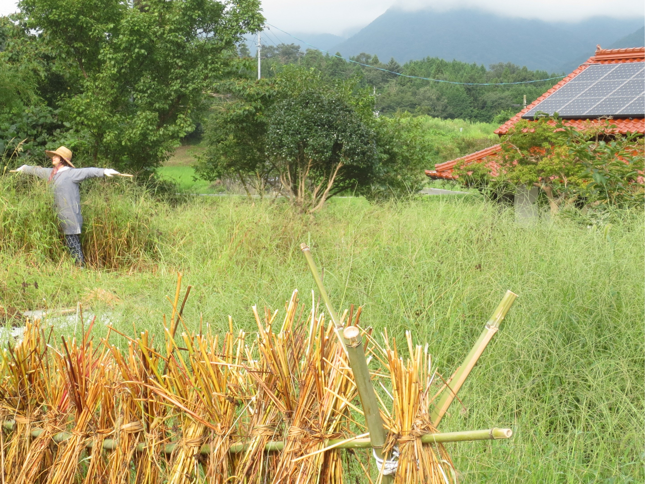 ΂̓VB΂炻ΕP҂̌܂B