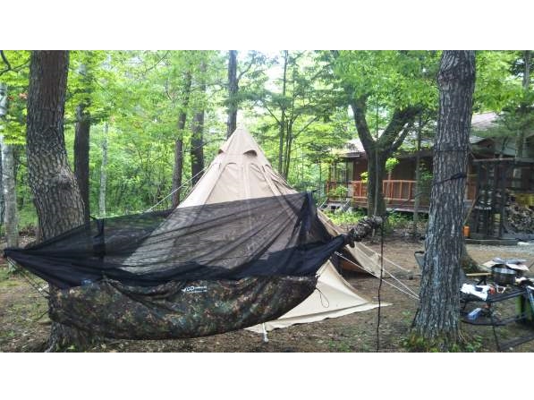 ky̐X̒ōLXfCLvieg݂͂