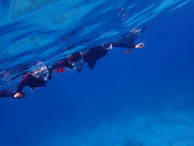 Vm[P߂Ăł2ڂɂ́ARɉj܂łɂȂ܂I