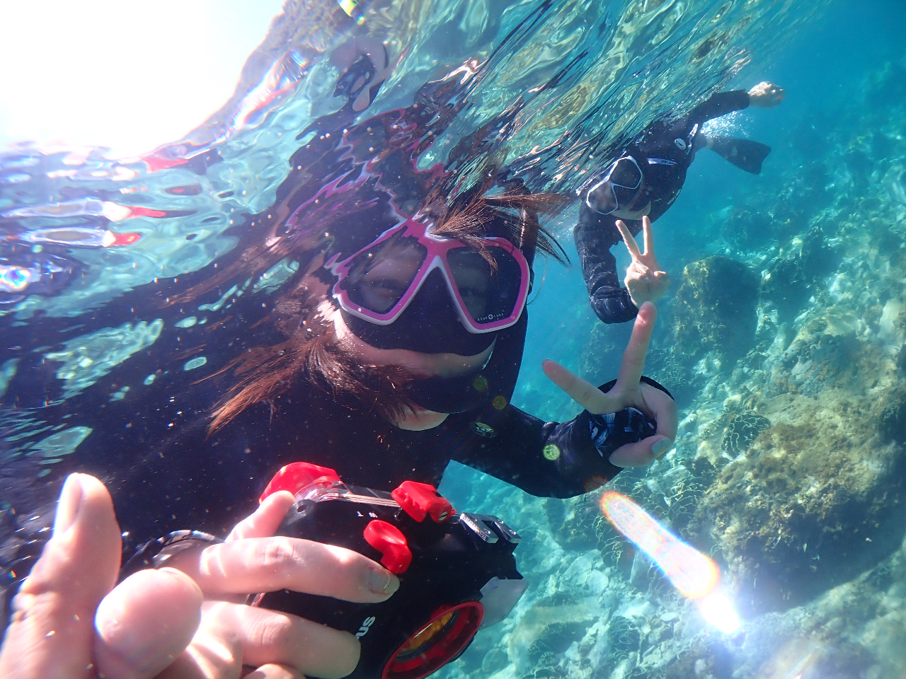 yIvVz7meł̓QXglɂ̎vocpɃ^JĂ܂BɃJbvAt@~[wɐlCȃIvVT[rXłI