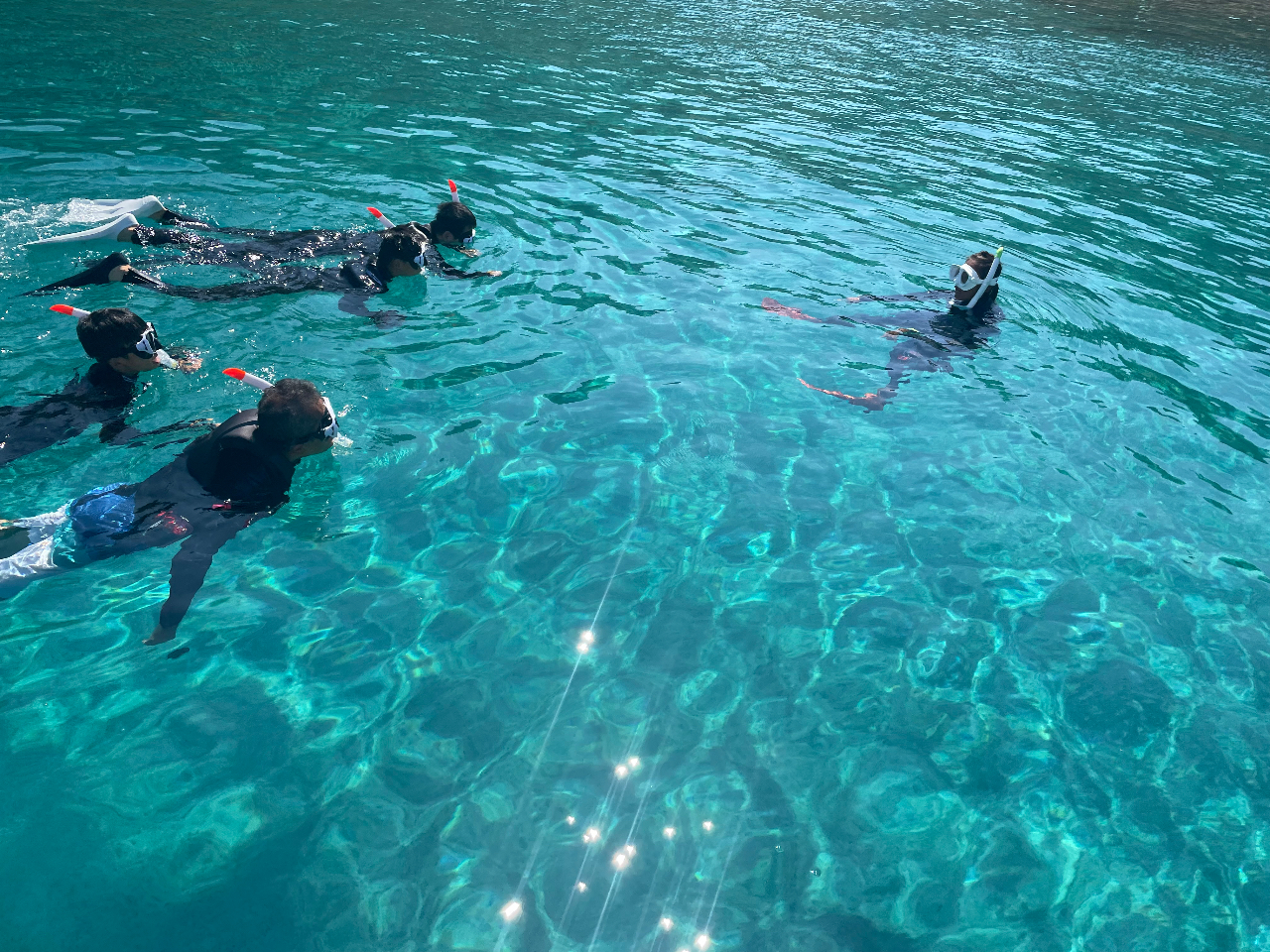 柏水 スポーツの今：原動力はブルボンKZ 水球のまち柏崎、目指すアジアの