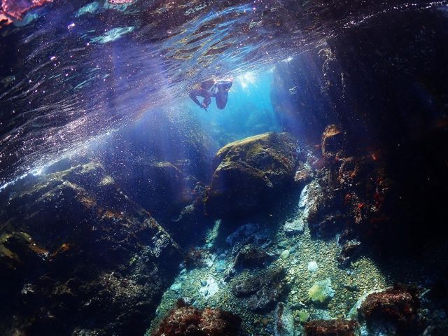 生物ポイント、地形、アーチなどリクエスト下さい♪