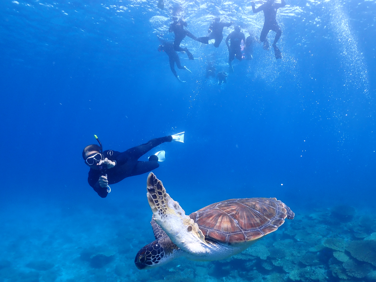 XL_CrO ŃE~Kƈꏏɉjo܂I