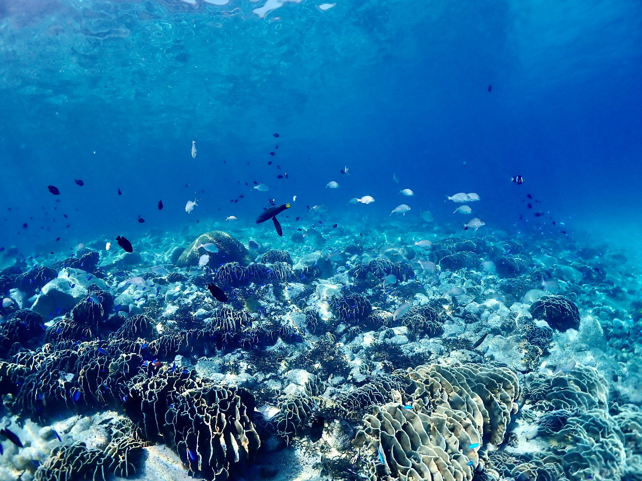 ȂA₩ȓ]̑̌_CrOwꏊłII