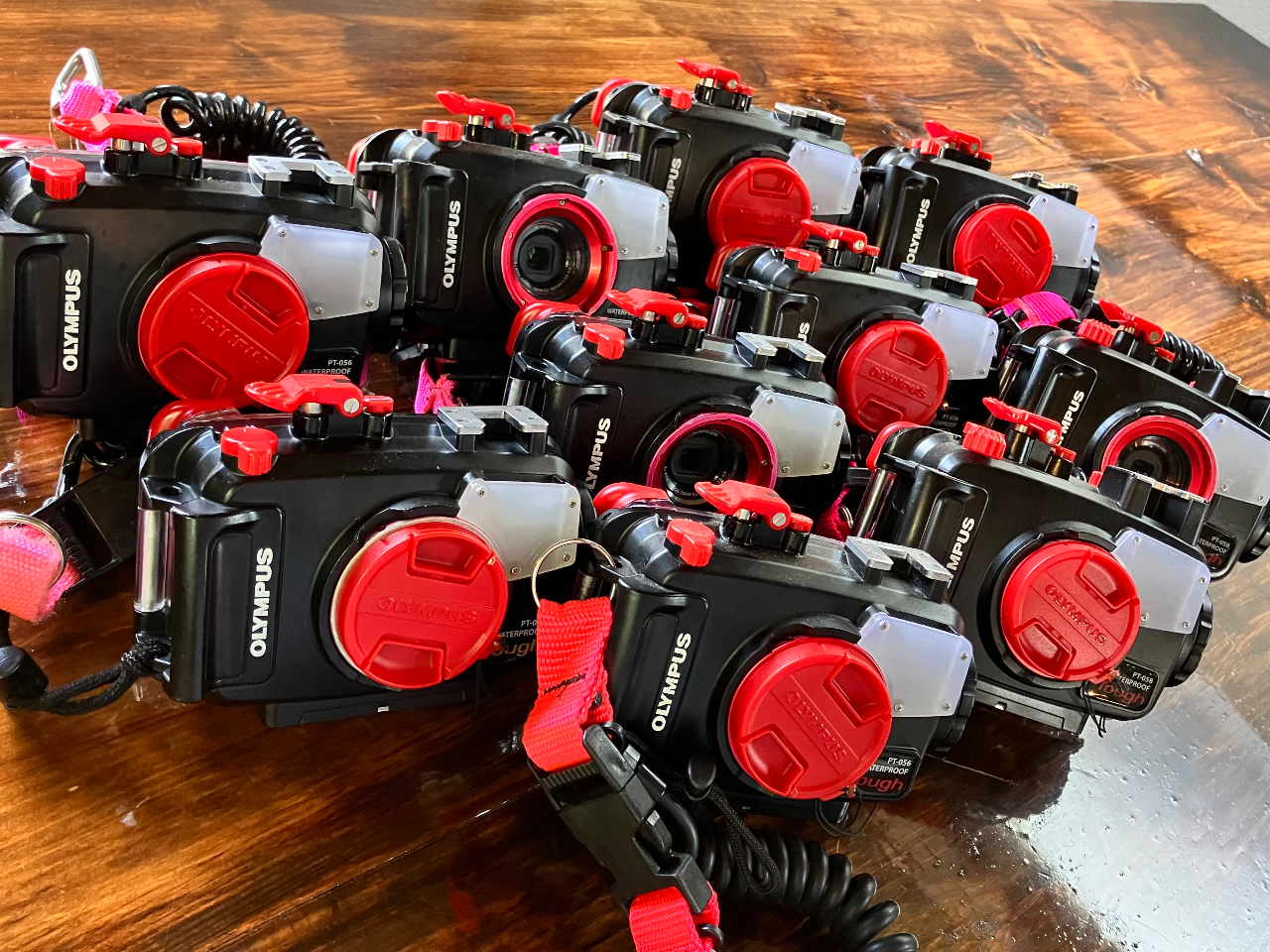 カメラやGoProお持ちでしたら是非ご持参下さい!!お持ちでない方に、オプションでOLYMPUS TGシリーズをレンタル頂けるように準備しております。12台