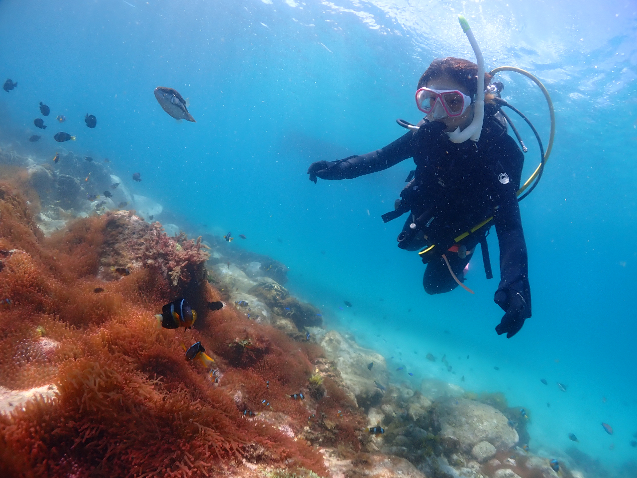 トップシーズンは、18歳以上からご案内させていただいておりますが、オフシーズンは14歳からご案内できます。