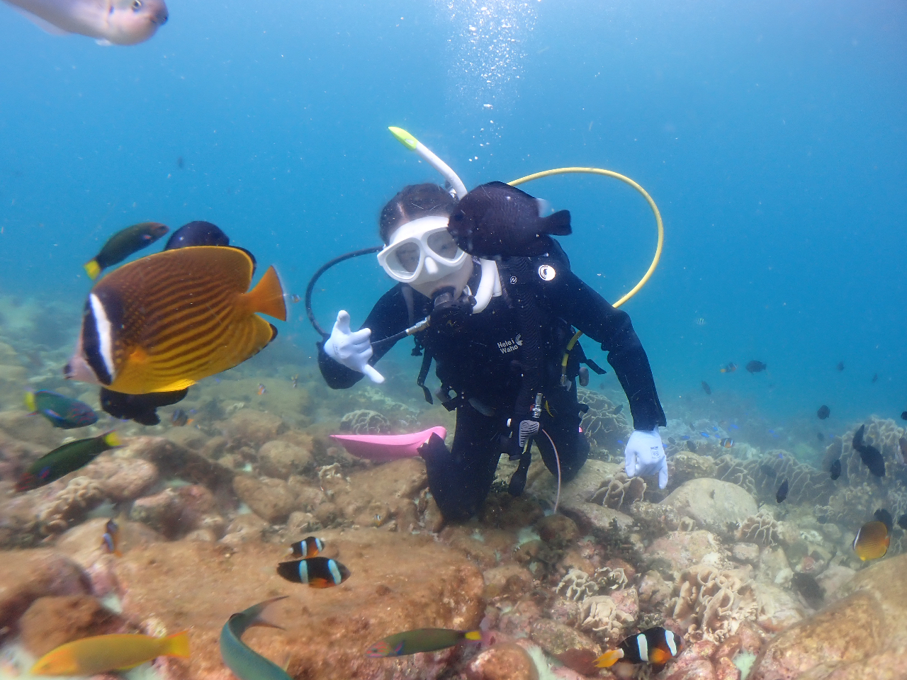 本格的にダイビングを始める前に、体験ダイビングからスタートしませんか?!