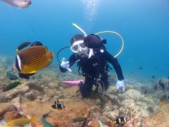 本格的にダイビングを始める前に、体験ダイビングからスタートしませんか?!