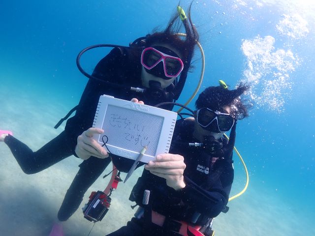 浅場のPOINTでシュノーケルの練習からスタート(^^)