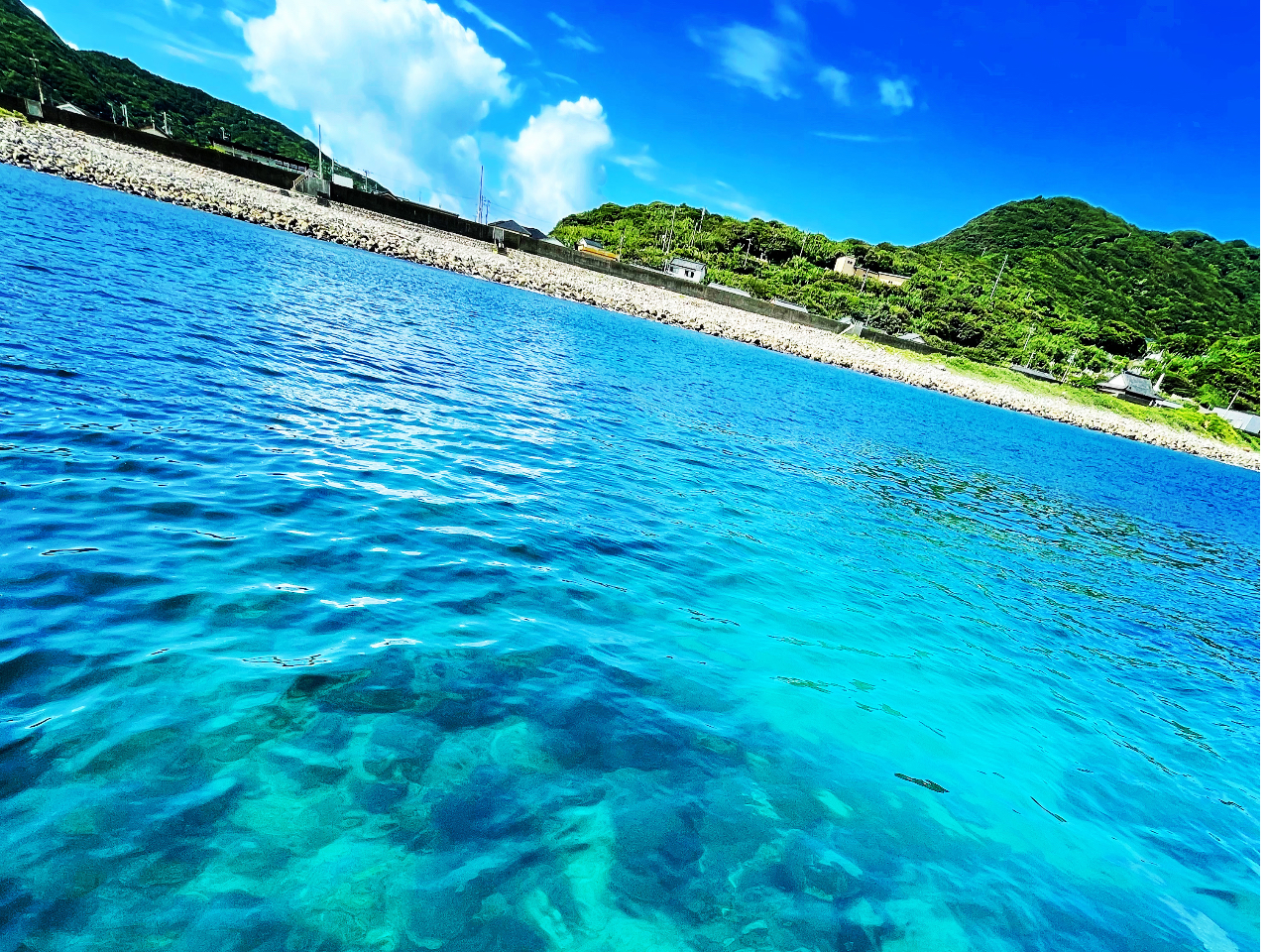 ボートでしかアクセスできないダイビングポイント。透明度が高い日は30M オーバーの柏島ブルーが広がっています。