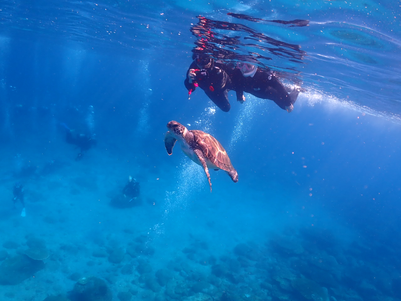 ̃vŃ_gclCȐBE~KB^ǂ΁A쐶̃E~KɉAꏏɉj܂B