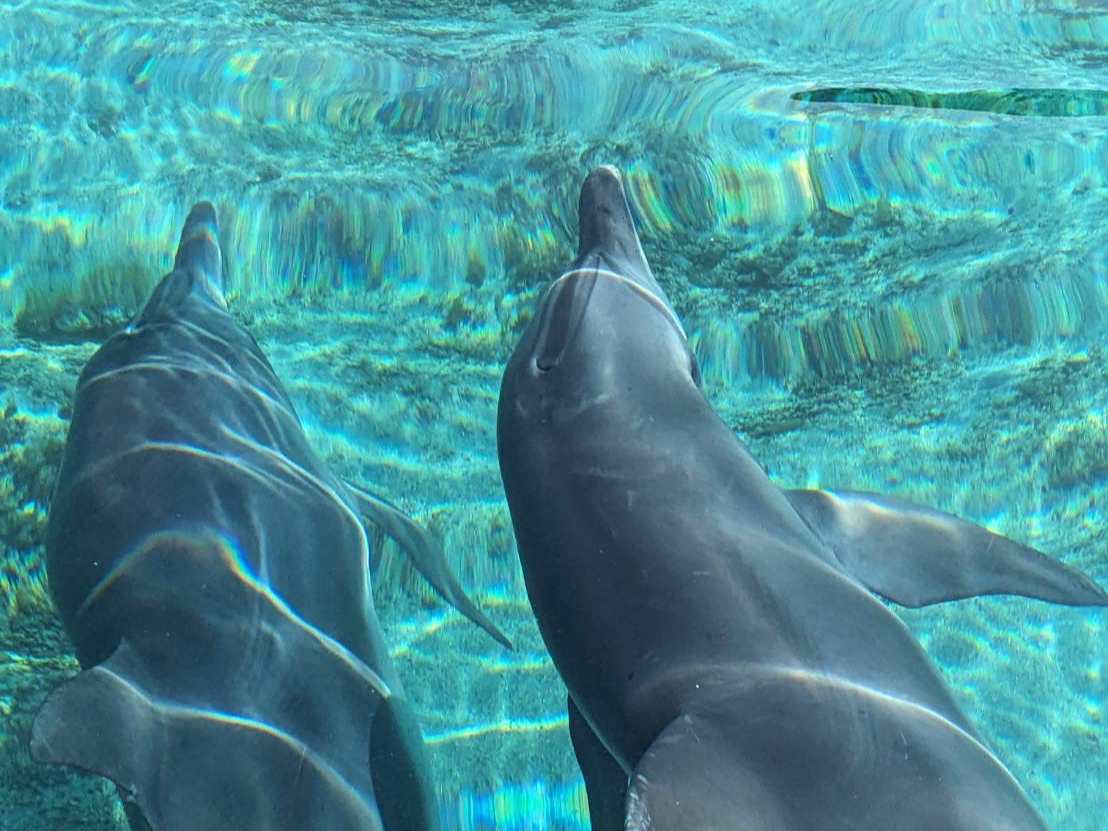 ツアー中に、皆様から許可を頂けましたら、お楽しみになられている風景をスタッフが撮影させて頂きます。無料で写真データーお渡しのサービス実施中!!