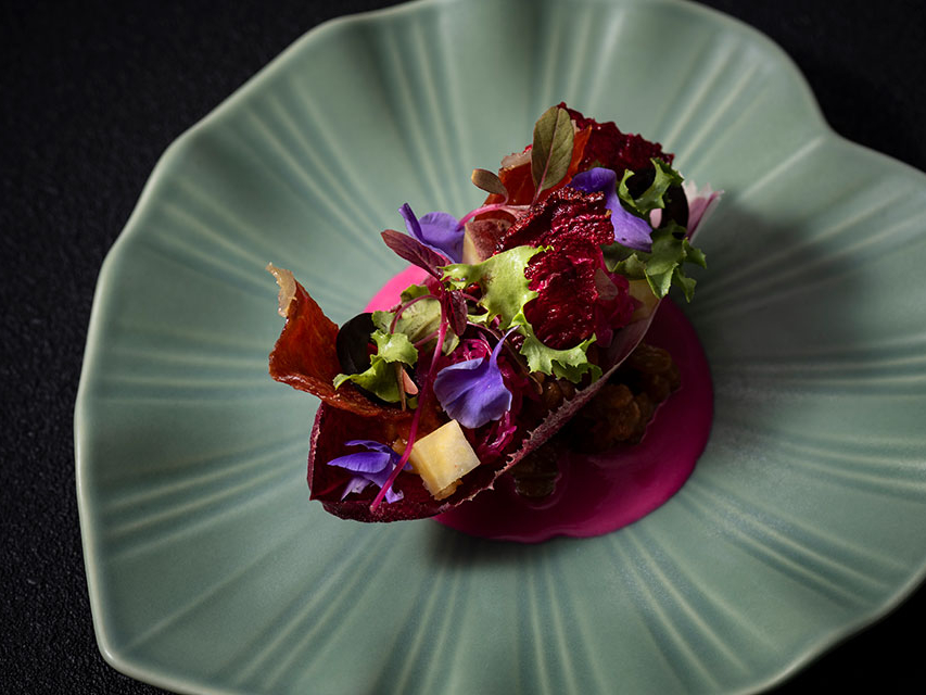 yA~[Y zr[cƐñKbgfR[VVNƃỸT_