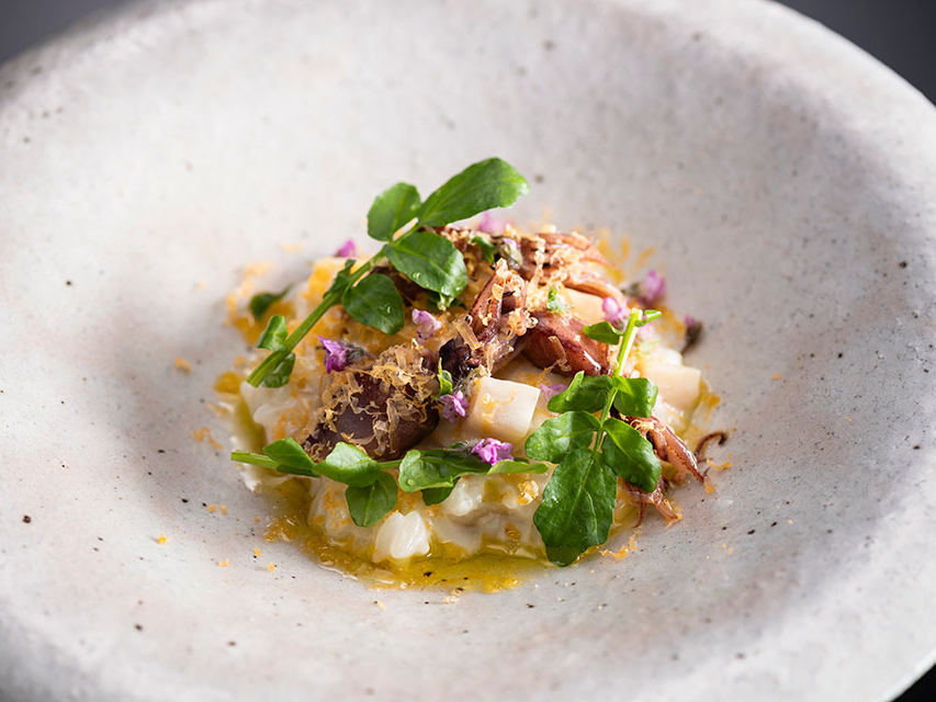 �y���O�؁z�z�^���C�J��⡂̃��]�b�g �~�����b�g�`�[�Y�Ƌ���