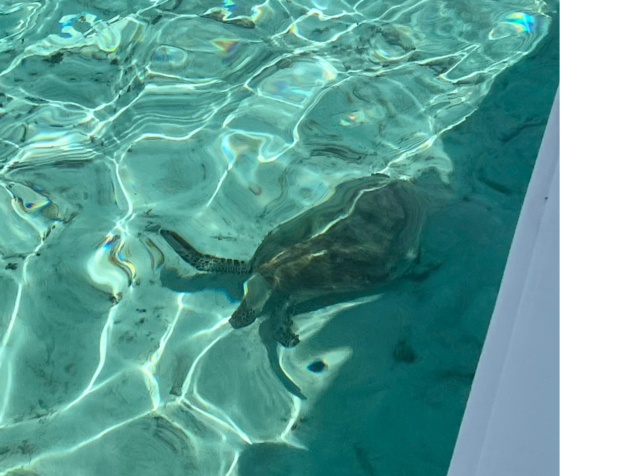 �T�����Ȃ���S�����l��