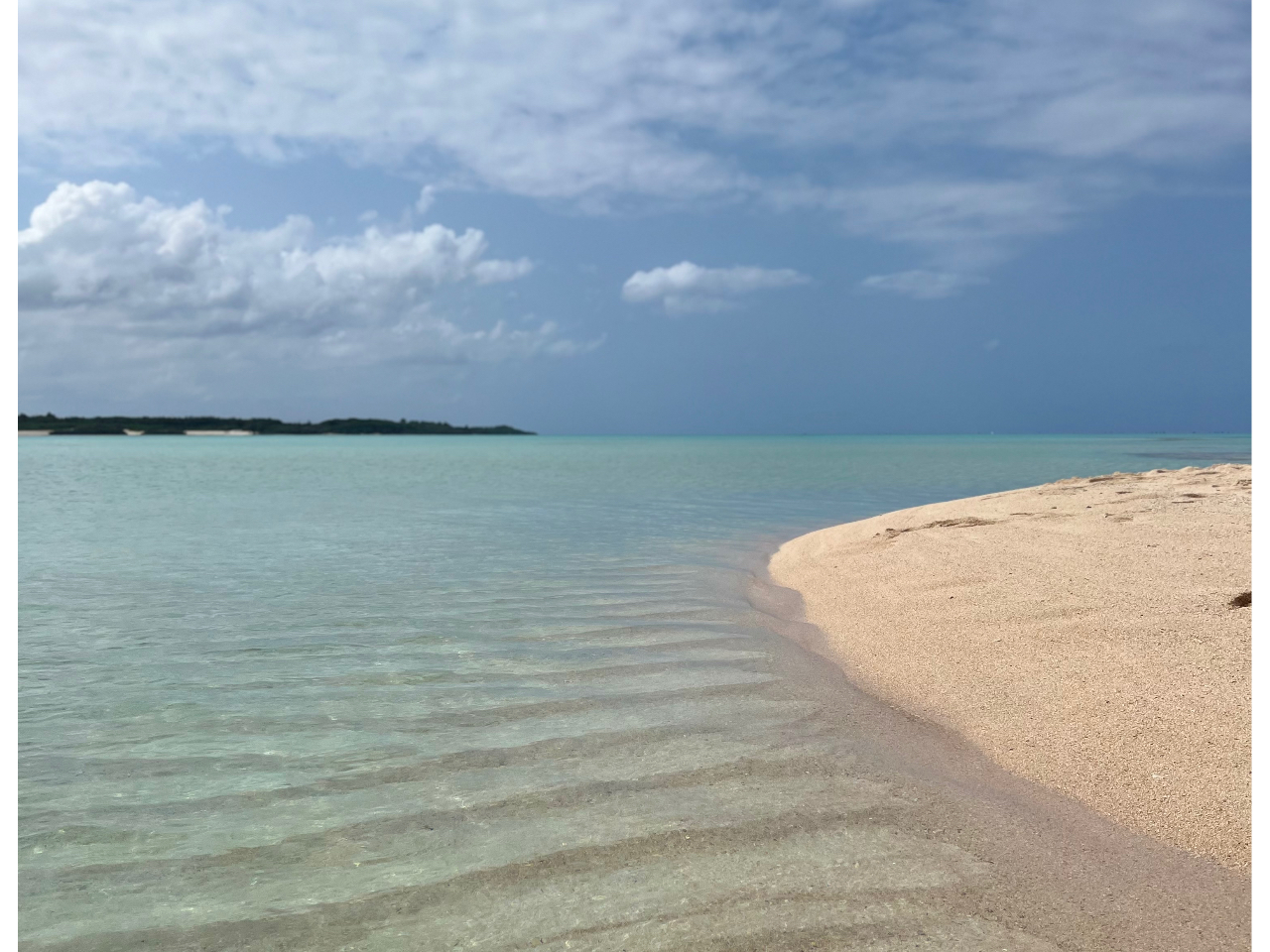 �S�����l�ƍ���