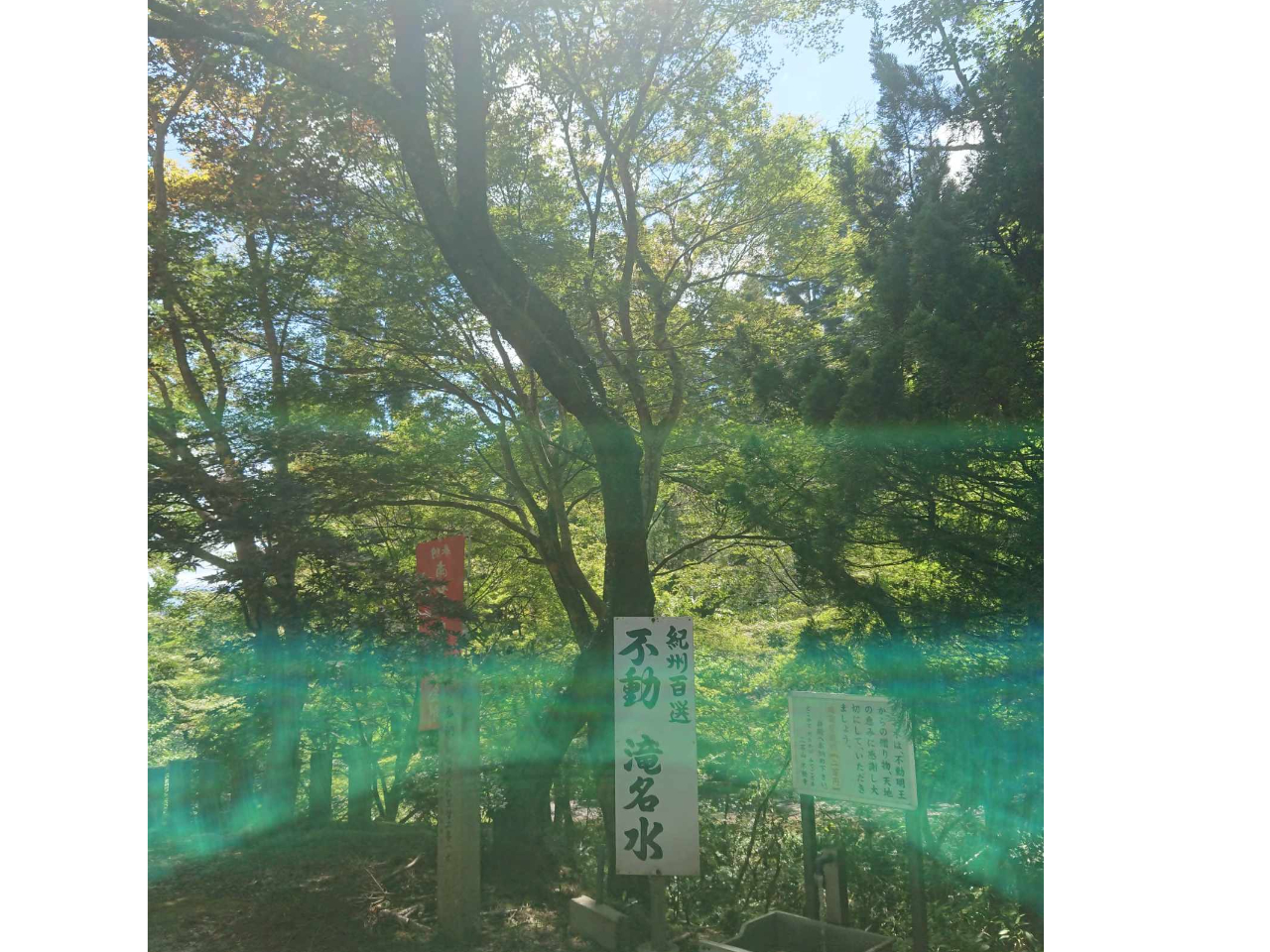 聖なる水がとめどなく湧いています。