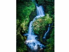 日本百名水「箱島湧水」