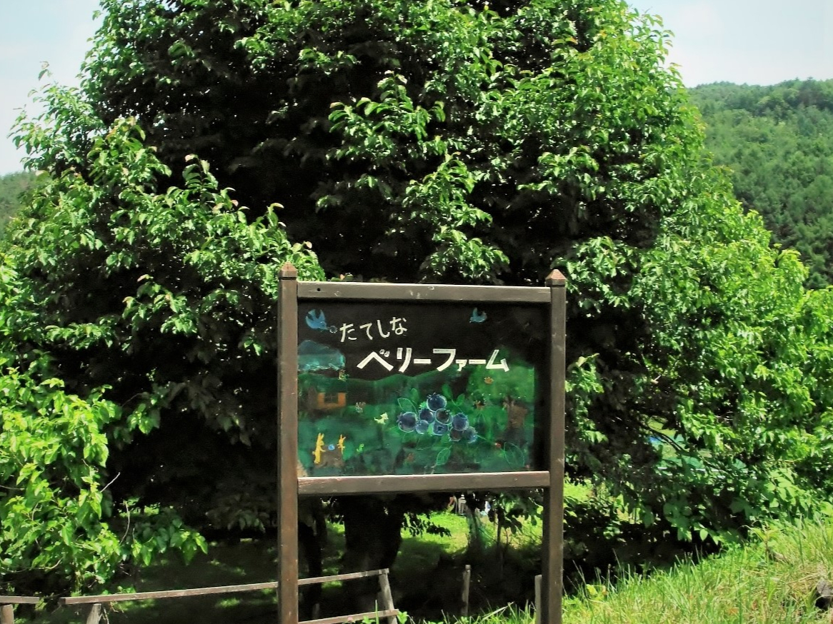 ���Ȃ̗������W��800���̗��R�̃u���[�x���[���@��ނ̈Ⴄ�u���[�x���[�̐H�ה�ׂ��o���܂��B���R�̒��ň�����u���[�x���[�͊Â��đ嗱�A�i�ʂ̔��������ł��B