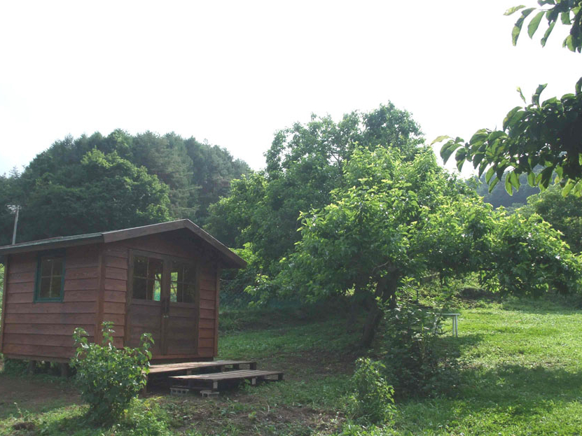 �E�ނ̂ɔ�ꂽ��K��R�u�V�̑傫�Ȏ��̗������؉A�ň�x�݁B