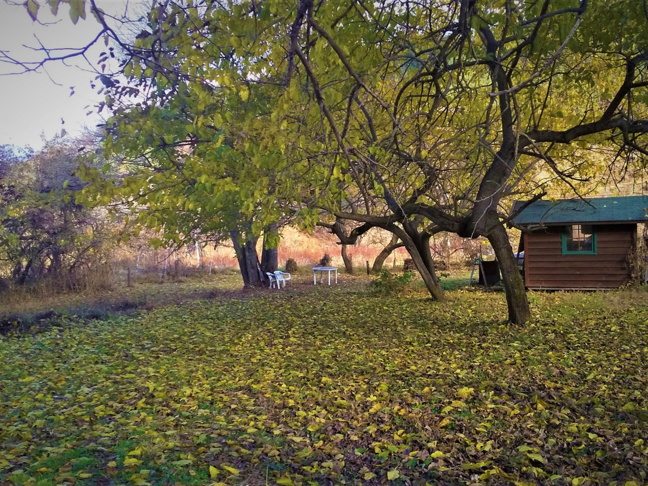 �H�ɂ͌K�̍g�t�Ō��z�I�ȕ��͋C�ɂȂ�܂��B���R�̎��R�𖞋i�B