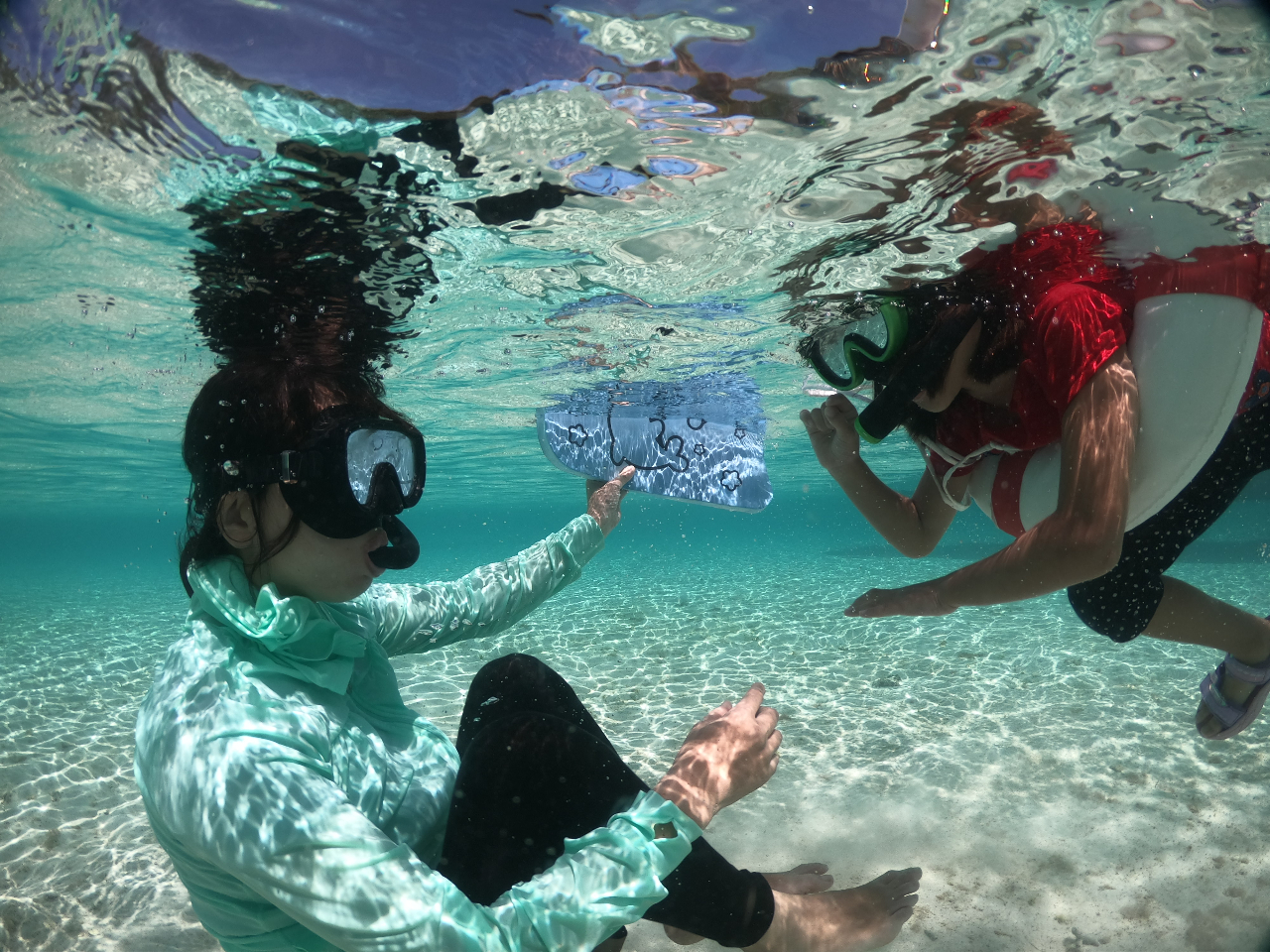 �󂢊C�������̂ł��q�l�����S�ł�