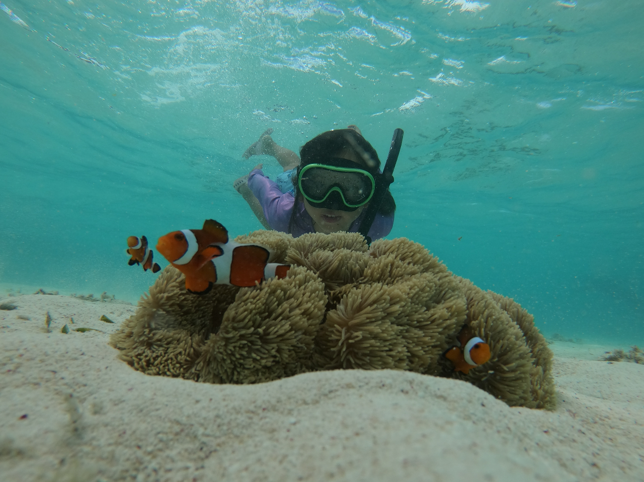 �󂢂Ƃ���ɃJ�N���N�}�m�~���I