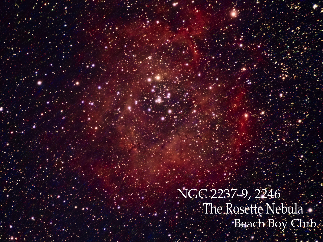 �o�����_