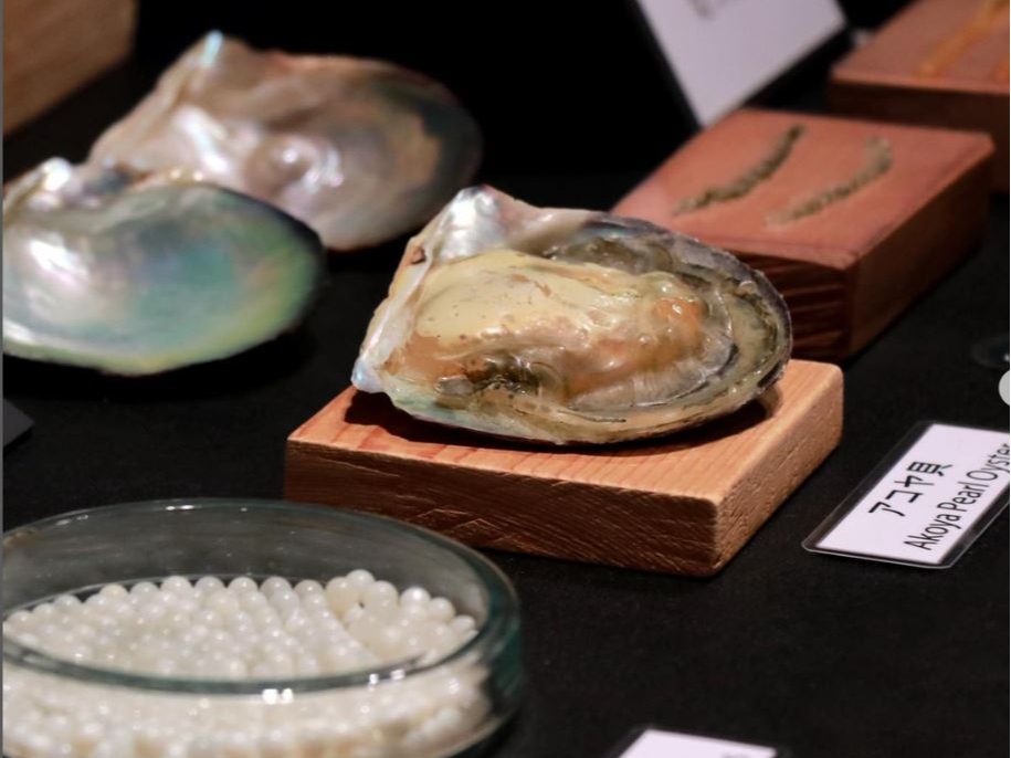 ^씎1KjR[i[ł́A^삪a܂ł̎dg݂Ay͋CƂ킩₷łЉĂ܂I