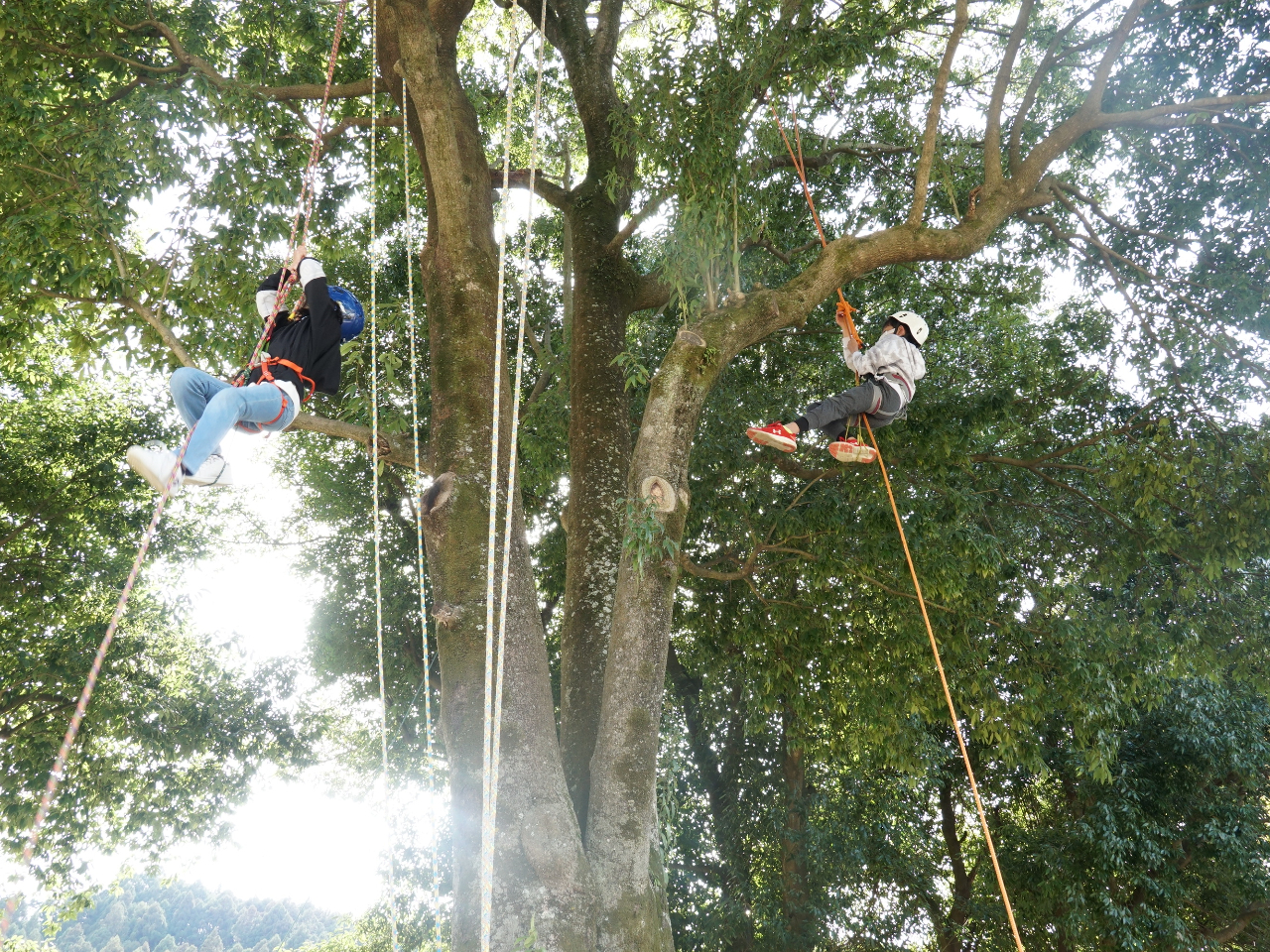 ネイチャーフェスタ2025「ロープを使った木登り体験・森あそび」/国営