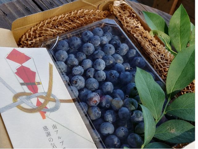 ギフト発送もご好評頂いております。ご自分で摘んだ果実を大切な方に贈りませんか?